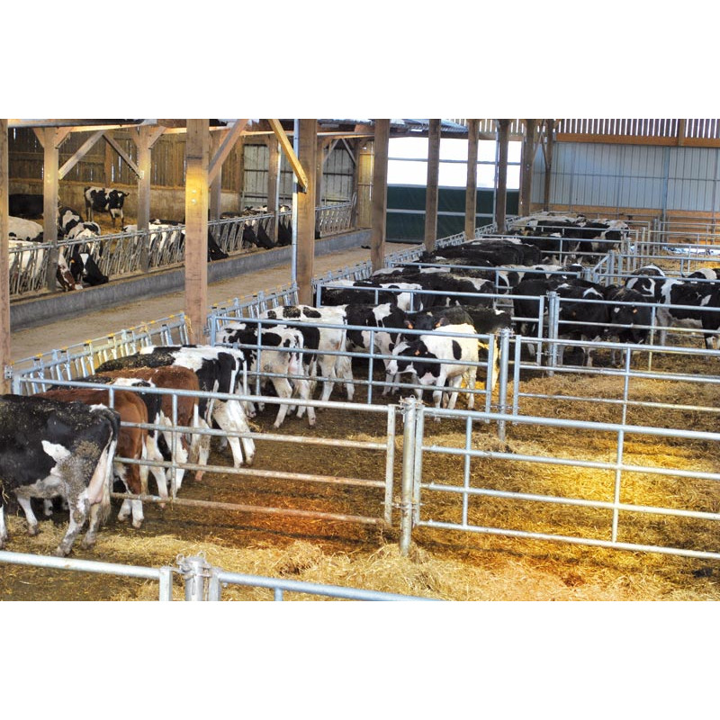 Komfort LR Selbstfangfressgitter - 4 m/5 Plätze Komfort LR Selbstfangfressgitter - 4 m/5 Plätze