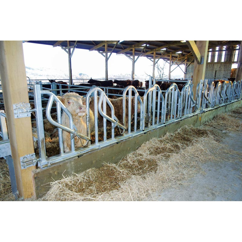 PRO Schwedengitter - 4 m/5 Plätze PRO Schwedengitter - 4 m/5 Plätze