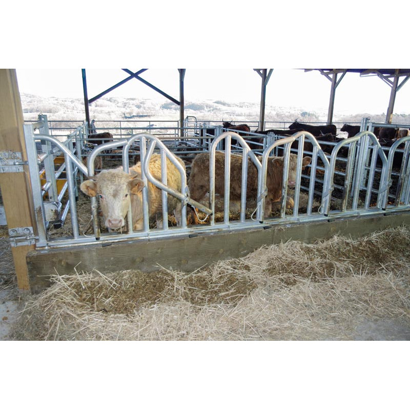 PRO Schwedengitter - 4 m/5 Plätze PRO Schwedengitter - 4 m/5 Plätze