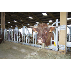PRO Schwedengitter - 4 m/5 Plätze PRO Schwedengitter - 4 m/5 Plätze