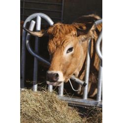 PRO Schwedengitter - 4 m/5 Plätze PRO Schwedengitter - 4 m/5 Plätze