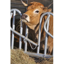 PRO Schwedengitter - 4 m/5 Plätze PRO Schwedengitter - 4 m/5 Plätze