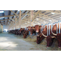 PRO Schwedengitter - 4 m/5 Plätze PRO Schwedengitter - 4 m/5 Plätze