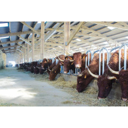 PRO Schwedengitter - 4 m/5 Plätze PRO Schwedengitter - 4 m/5 Plätze