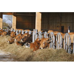 PRO Schwedengitter - 5 m/6 Plätze PRO Schwedengitter - 5 m/6 Plätze