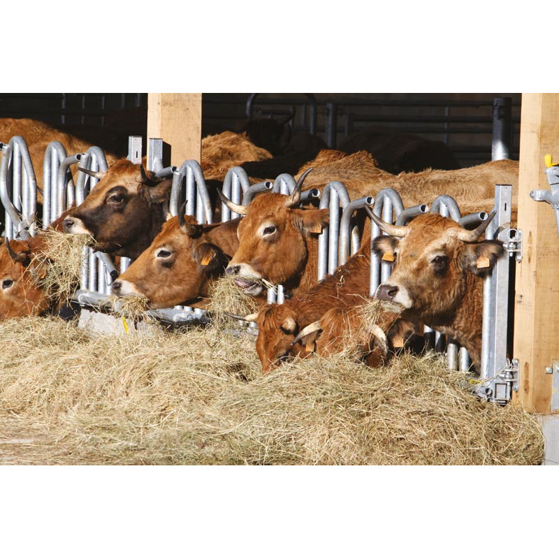 PRO Schwedengitter - 5 m/7 Plätze