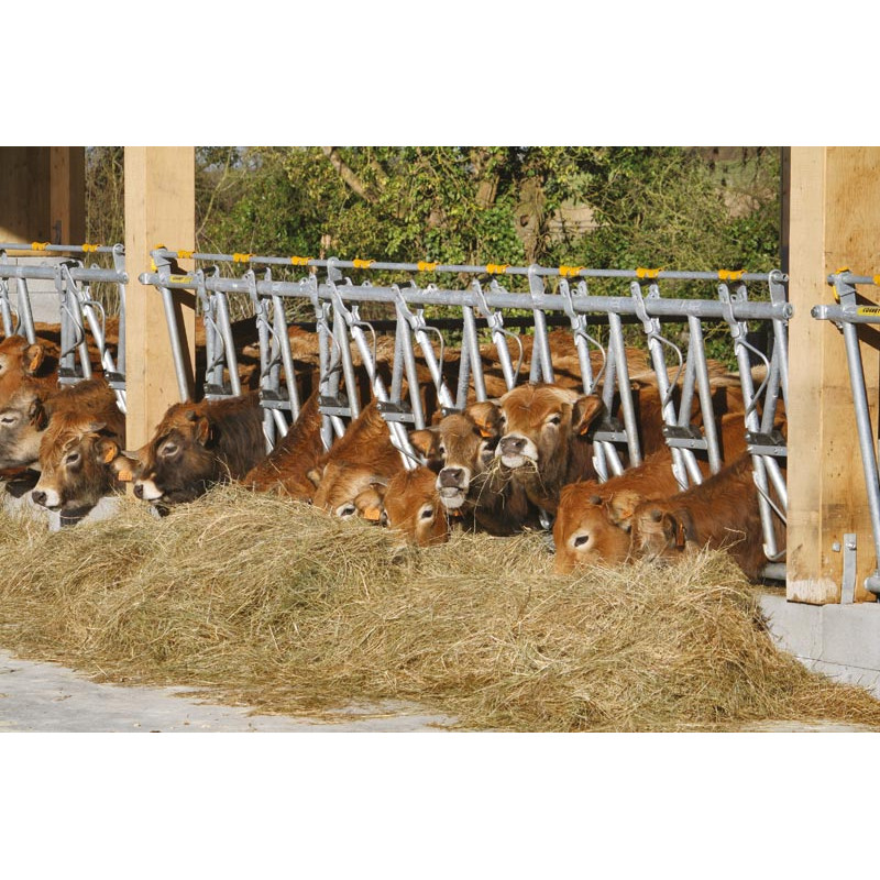 Komfort SR Selbstfangfressgitter als Bausatz Einzelplatz