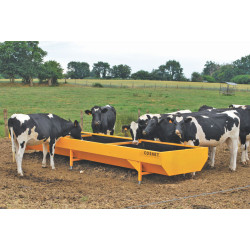 Extrabreiter lackierter verstärkter Trog 5 x 1 m 