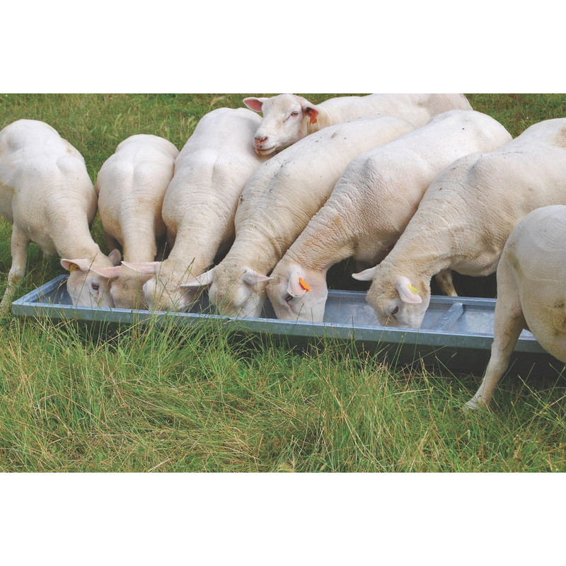 Tröge für kleine Tiere - 2,45 x 0,33 m