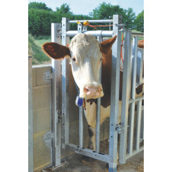 Selbstfangfressgitterelement für Stall