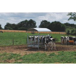RTLS Futterraufe mit Fressgittern