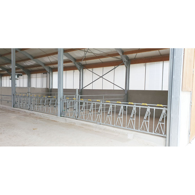 10 Plätze/5 m JUNIOR KOMFORT SR Selbstfangfressgitter für Kälber ohne Eimerhalter 10 Plätze/5 m JUNIOR KOMFORT SR Selbstfangfressgitter für Kälber ohne Eimerhalter