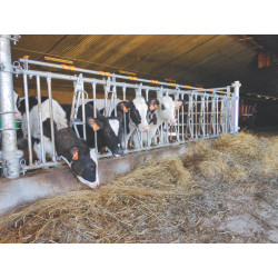 10 Plätze/5 m JUNIOR KOMFORT SR Selbstfangfressgitter für Kälber ohne Eimerhalter 10 Plätze/5 m JUNIOR KOMFORT SR Selbstfangfressgitter für Kälber ohne Eimerhalter