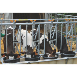 5 Eimer/2,5 m Eimerhalter mit integriertem PE-Trog