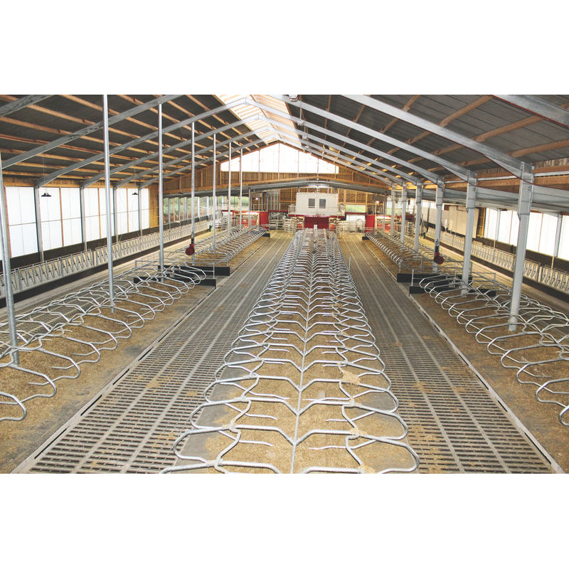 Monofuß Liegeboxenbügel zum Aufdübeln für Großvieh Monofuß Liegeboxenbügel zum Aufdübeln für Großvieh