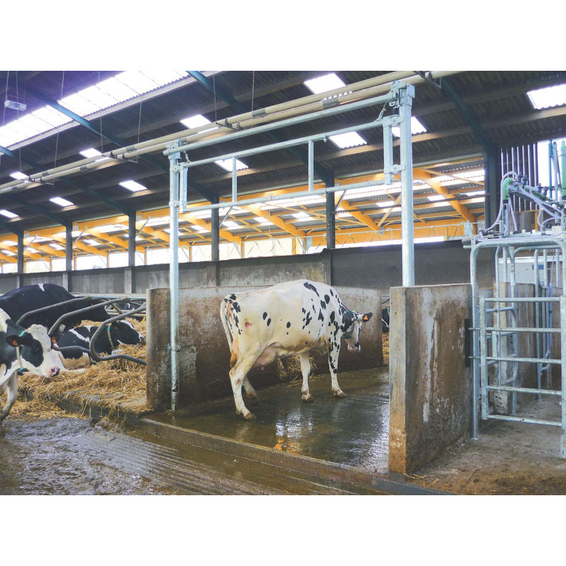 2,30/3,40 m Hubtor für Liegeboxengänge