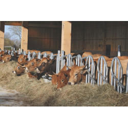 PRO Schwedengitter - 5 m/6 Plätze PRO Schwedengitter - 5 m/6 Plätze
